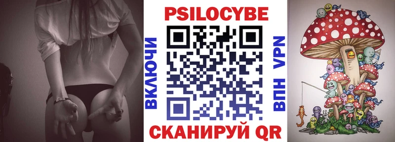 omg как зайти  Бежецк  Псилоцибиновые грибы мицелий 
