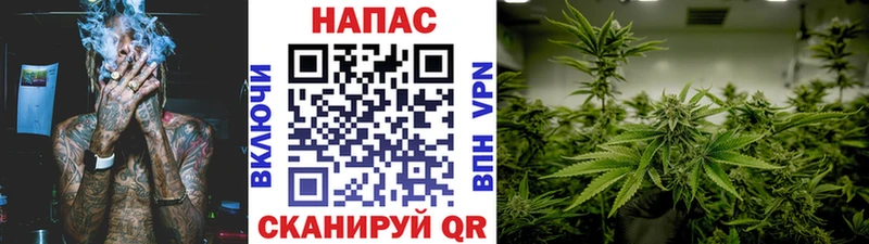 купить наркоту  Бежецк  Марихуана White Widow 